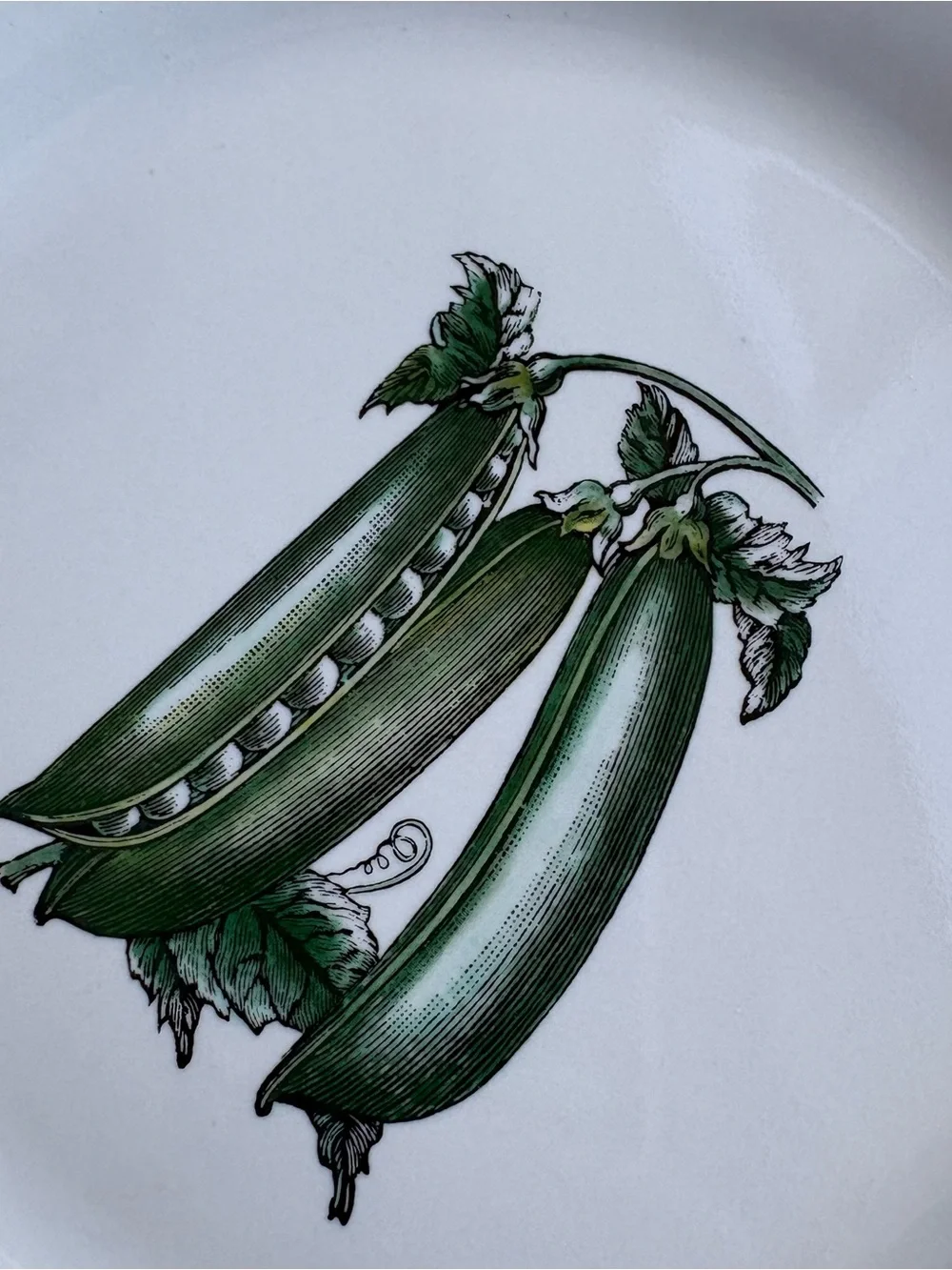 Pfaltzgraff Farmers Market Vintage Salad Plate Green Pea Pod